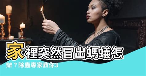 房間突然很多螞蟻|家裡突然冒出很多小螞蟻怎麼辦？滅蟲專家教3招徹底消滅，1個便。